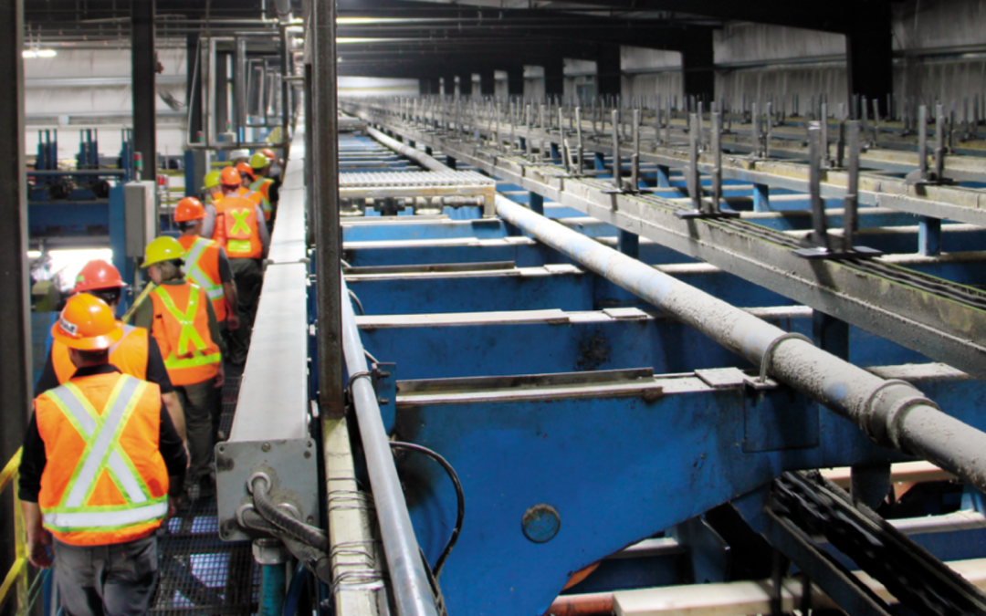 Elmsdale Lumber ready for its second century